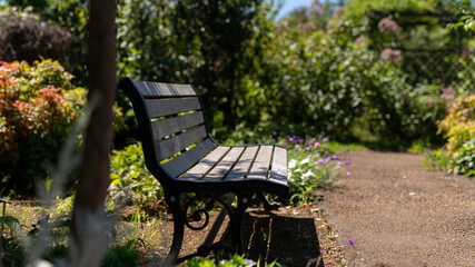 このベンチは読書が似合いそう