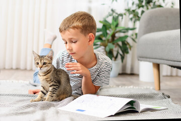 boy playing with a kitten