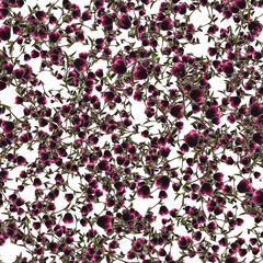 Hellebores flower abstract repeating pattern