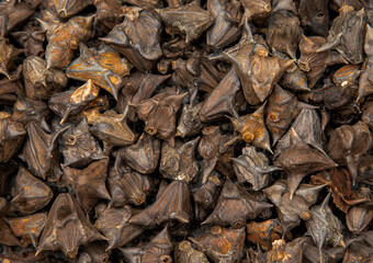 Scary Background consisting of black and brown thorns. rough background of prickly growths. Floating horn