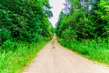 Fototapeta na wymiar Summer Country Road at the forest. Trees are summer day brightly green.