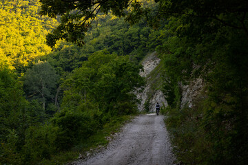 cyclist on a forest road