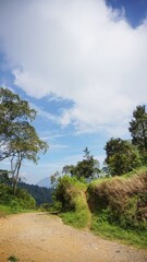 Fototapeta na wymiar beautiful natural landscape mountains hilly nature panorama, with green forest big trees and green grassy slopes under cloudy blue sky in daytime