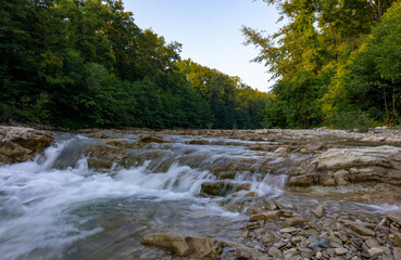 Fototapeta premium river in the woods