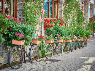 Fototapeta na wymiar Classic and antique bicycles placed next to a wall. modern floral decoration.