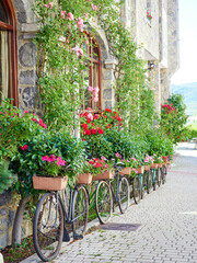 Classic and antique bicycles placed next to a wall. modern floral decoration.