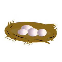 illustration of eggs in the nest
