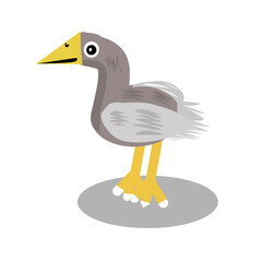 pelican cartoon photo vector illustration