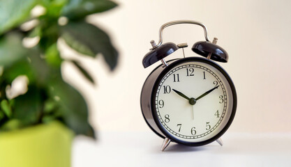 Classic desk alarm clock showing eleven past ten in the morning, green plant on the foreground