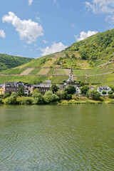 Fototapeta premium The village Bremm at the Moselle river