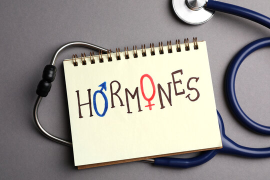 Notebook with word HORMONES and stethoscope on grey background, flat lay