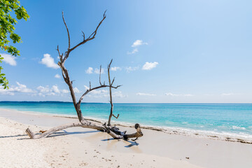 Fototapeta na wymiar Carbonate (White) Sand Beach | Kalapathar Beach | Havelock Islands | Andaman & Nicobar Islands | 2022 | Series: Colors of Silence