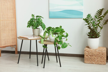 Stylish room interior with beautiful house plants. Home design idea © New Africa