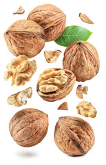 Set of whole walnuts, walnut kernel and cracked walnut flying in the air on white background. Clipping paths.