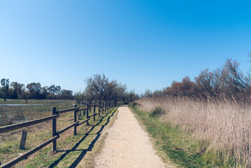 Fototapeta na wymiar Path in the countryside (Parc Natural dels Aiguamolls de l'Empordà, Spain)