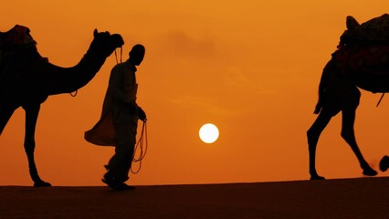 Cameleers, camel Drivers at sunset. Thar desert on sunset Jaisalmer, Rajasthan, India.