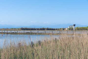 Beautiul spring landscape (Parc Natural dels Aiguamolls de l'Empordà, Spain)