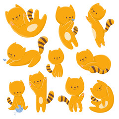 Naklejka premium Collection illustration orange cute cat for design