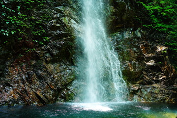 Fototapeta premium 東京の払沢の滝