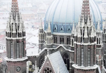 Foto op Plexiglas Traditional old city view - Beautiful gothic style roof of antique christian church, St. Maria's Cathedral at the background of buildings covered by first snow in winter, Vienna, Austria, Europe © little_mouse