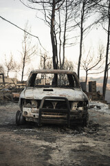 Obraz na płótnie Canvas Burnt car aftermath forest fire consequence of climate change - Wildfire Crisis and Global Collapse