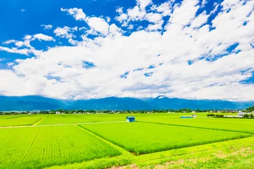 Keuken spatwand met foto 夏の信州　安曇野の田園風景 © oben901