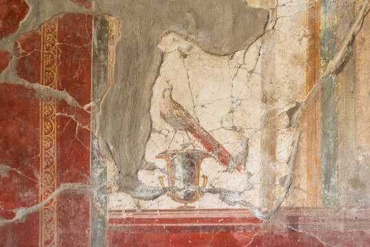 OPLONTIS, ITALY - MAY 03, 2022 - Beautiful colorful fresco showing a peacock in the Villa Oplontis