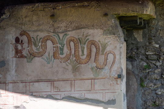 POMPEII, ITALY - MAY 04, 2022 - Fresco of a snake in a Pompeian villa in Italy
