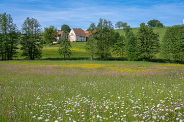 Summer feeling in the german Odenwald