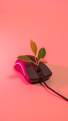 Leaves nature and mouse.Small green plant growing from black mouse.Technology with nature concept