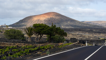 Amazing nature of Lanzarote, land of volcanoes and wine, Canary Islands, Spain