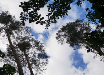 sky and clouds