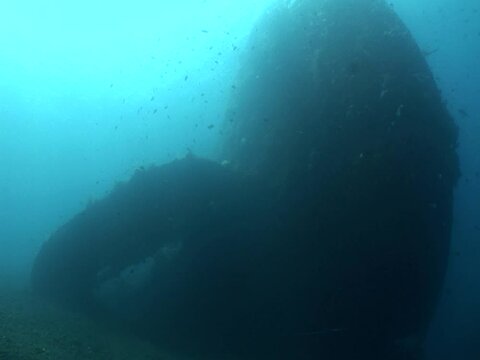 USAT Liberty wreck, Tulamben, Bali