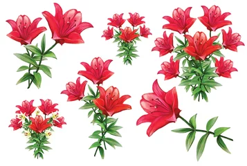 Fotobehang watercolor set of red lilies illustration © TanyaArt