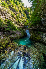 Beautiful view of the turquoise transparent stream water in Vintgar Gorge near Lake Bled in summer, Upper Carniola, Slovenia - 520210347