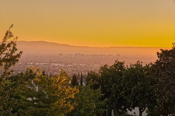 San Jose Landscape Behind Trees During Golden Hour - obrazy, fototapety, plakaty