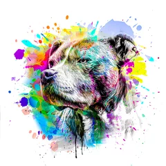 Poster abstract colored dog muzzle isolated on colorful background © reznik_val