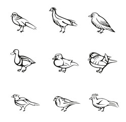 Set of bird vector icons