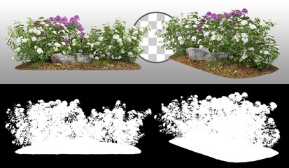   Cutout flowering bush isolated on transparent background via an alpha channel. Rose and rhododendron shrub for landscaping or garden design.  