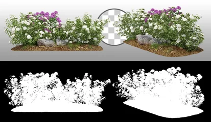 Papier Peint photo Lavable Azalée   Cutout flowering bush isolated on transparent background via an alpha channel. Rose and rhododendron shrub for landscaping or garden design.  