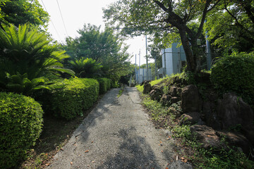 愛媛県愛南町　中浦テレビ塔公園