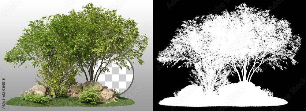 Wall mural group of trees among the rocks. cutout trees isolated on transparent background via an alpha channel