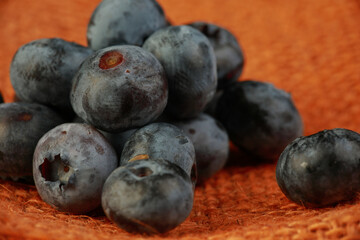 fresh blueberries in the studio