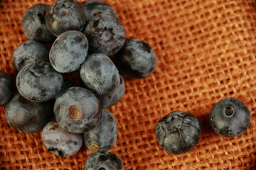 fresh blueberries in the studio