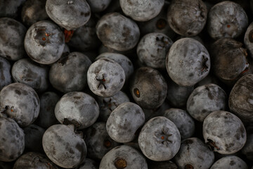 fresh blueberries in the studio