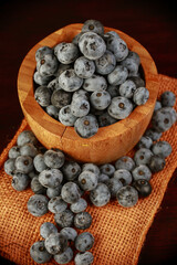 fresh blueberries in the studio