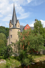 Fototapeta na wymiar Burg am Fluss im Baumgrün