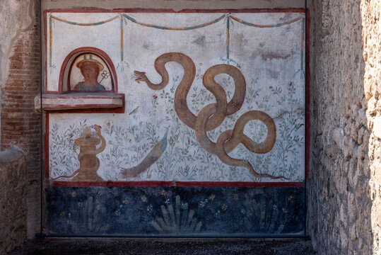 POMPEII, ITALY - MAY 04, 2022 - Beautiful colorful fresco of a yellow snake, a peacock, and a woman's bust in a Pompeian villa, Italy