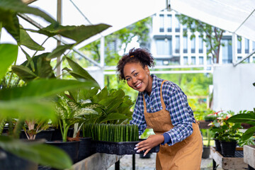 Fototapeta na wymiar African American gardener is working inside her greenhouse at nursery garden center for native and exotic plant grower concept