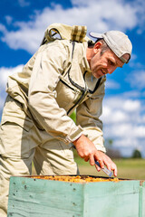 Confident beekeeper working with beehives. Countryside farming beekeeping.